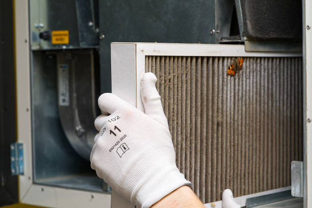 Best Air Vent Cleaning Services  in Honea Path, SC