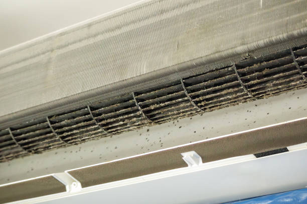 Affordable HVAC Duct Cleaning in SC